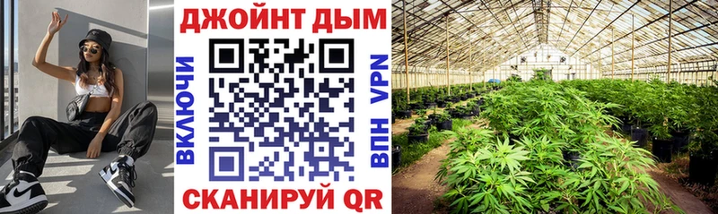 Alpha-PVP Новочебоксарск