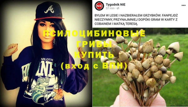 мескалин Абинск