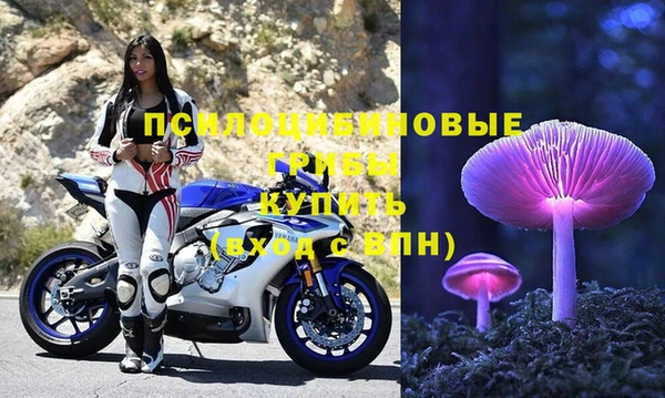 спайс Абаза