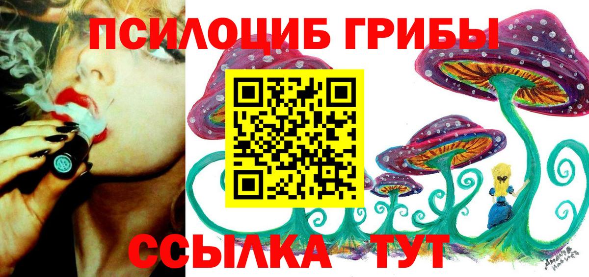 купить наркотик  Вход с VPN  Новочебоксарск  Псилоцибиновые грибы Psilocybine cubensis 